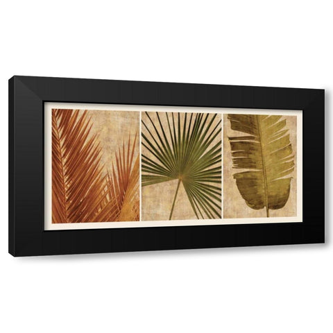 Palm Vista II Black Modern Wood Framed Art Print with Double Matting by Seba, John