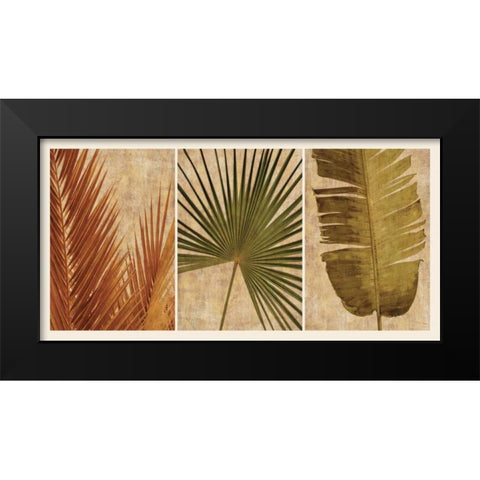 Palm Vista II Black Modern Wood Framed Art Print by Seba, John