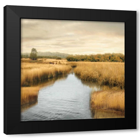 Morning Calm I Black Modern Wood Framed Art Print with Double Matting by Seba, John