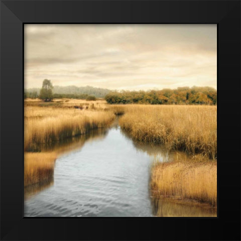 Morning Calm I Black Modern Wood Framed Art Print by Seba, John