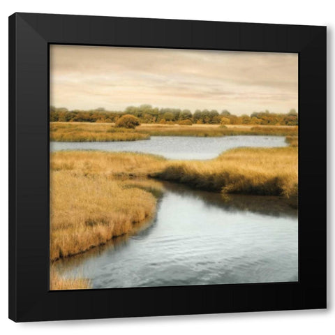 Morning Calm II Black Modern Wood Framed Art Print by Seba, John