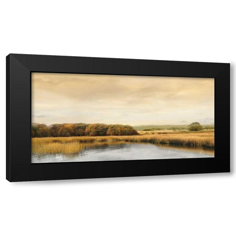 Ripples On the Water Black Modern Wood Framed Art Print with Double Matting by Seba, John