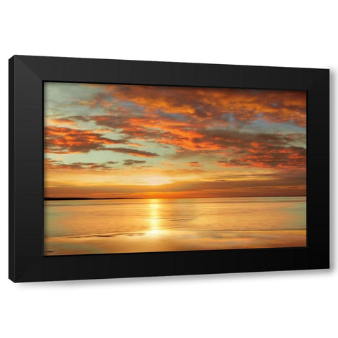 Sunlit Black Modern Wood Framed Art Print by Seba, John