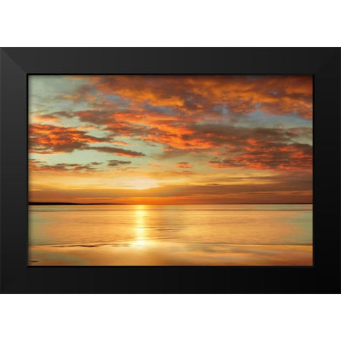Sunlit Black Modern Wood Framed Art Print by Seba, John