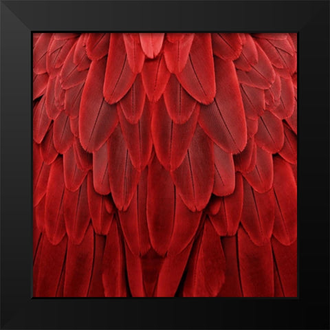Feathered Friend - Red Black Modern Wood Framed Art Print by Bosco, Julia