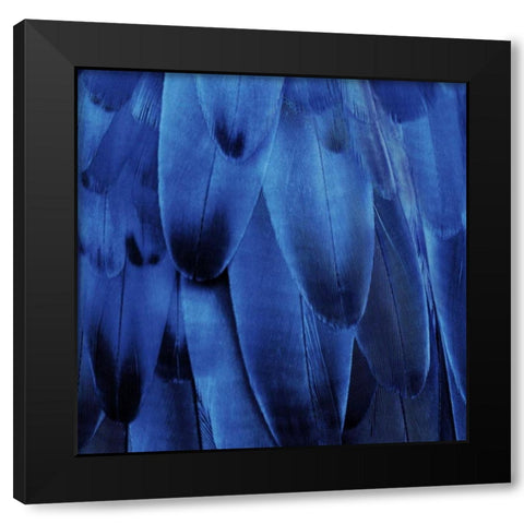 Feathered Friend - Indigo Black Modern Wood Framed Art Print by Bosco, Julia