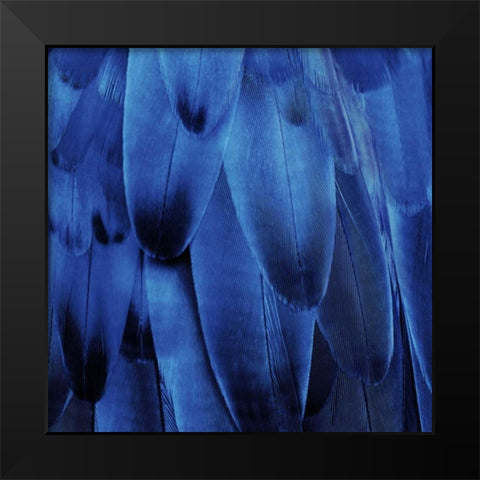 Feathered Friend - Indigo Black Modern Wood Framed Art Print by Bosco, Julia