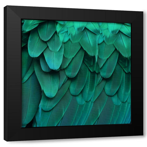 Feathered Friend - Aqua Black Modern Wood Framed Art Print by Bosco, Julia
