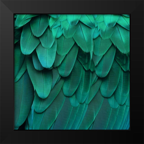 Feathered Friend - Aqua Black Modern Wood Framed Art Print by Bosco, Julia