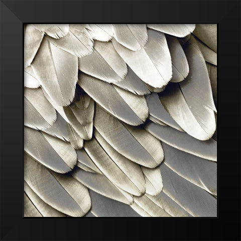 Feathered Friend - Pearl II Black Modern Wood Framed Art Print by Bosco, Julia