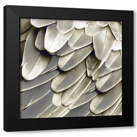 Feathered Friend - Pearl III Black Modern Wood Framed Art Print with Double Matting by Bosco, Julia