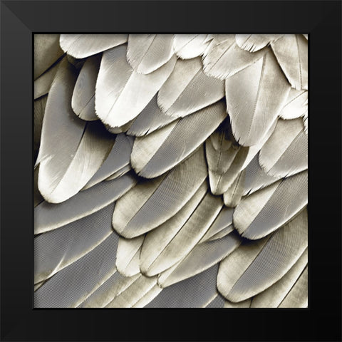 Feathered Friend - Pearl III Black Modern Wood Framed Art Print by Bosco, Julia