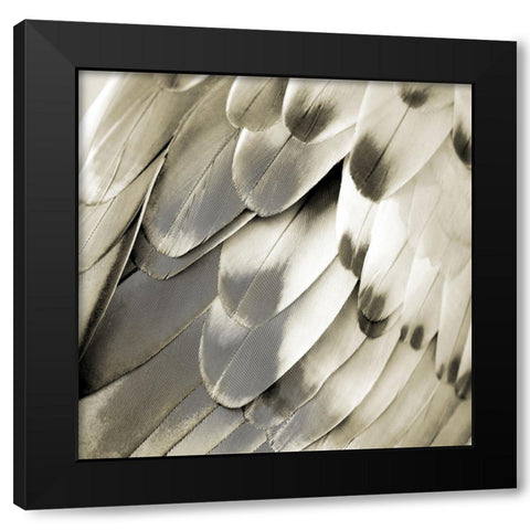Feathered Friend - Pearl IV Black Modern Wood Framed Art Print by Bosco, Julia