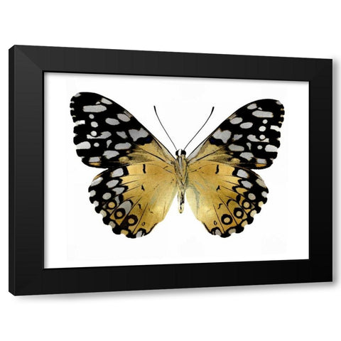 Golden Butterfly IV Black Modern Wood Framed Art Print with Double Matting by Bosco, Julia