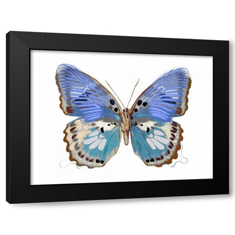 Golden Butterfly V Black Modern Wood Framed Art Print by Bosco, Julia