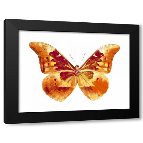 Butterfly in Grey III Black Modern Wood Framed Art Print with Double Matting by Bosco, Julia