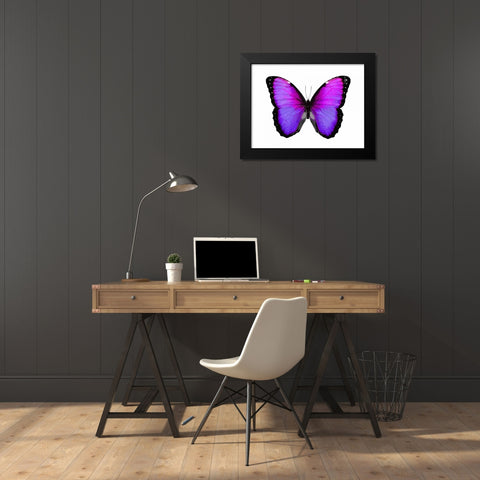 Vibrant Butterfly IV Black Modern Wood Framed Art Print by Bosco, Julia