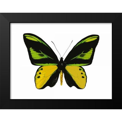 Vibrant Butterfly VII Black Modern Wood Framed Art Print by Bosco, Julia