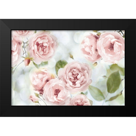 Pink Rose Garden III Black Modern Wood Framed Art Print by Lane, Joanna