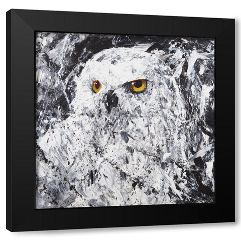 Owl III Black Modern Wood Framed Art Print by Foster, Joseph Marshal