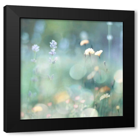 Morning Meadow I Black Modern Wood Framed Art Print with Double Matting by Carrigan, Kate