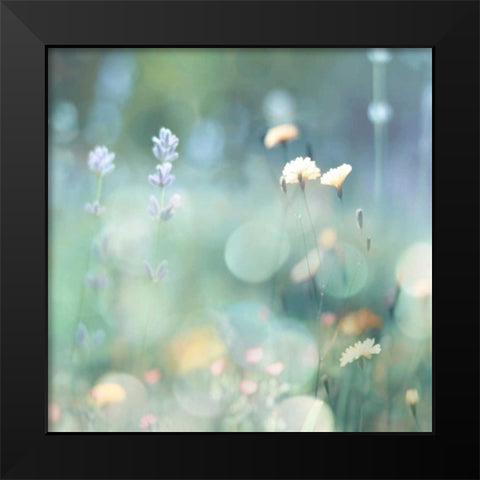Morning Meadow I Black Modern Wood Framed Art Print by Carrigan, Kate