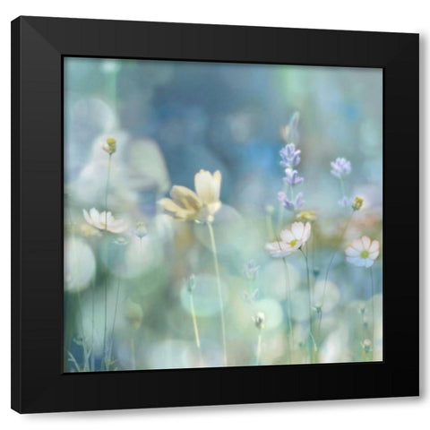Morning Meadow II Black Modern Wood Framed Art Print by Carrigan, Kate