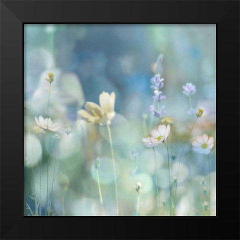 Morning Meadow II Black Modern Wood Framed Art Print by Carrigan, Kate