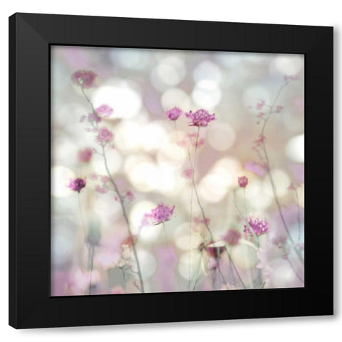 Floral Meadow II Black Modern Wood Framed Art Print with Double Matting by Carrigan, Kate