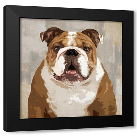 Bulldog Black Modern Wood Framed Art Print with Double Matting by Rodgers, Keri