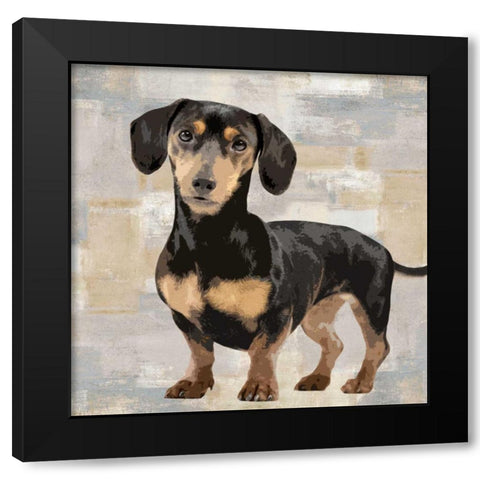 Dachshund Black Modern Wood Framed Art Print with Double Matting by Rodgers, Keri