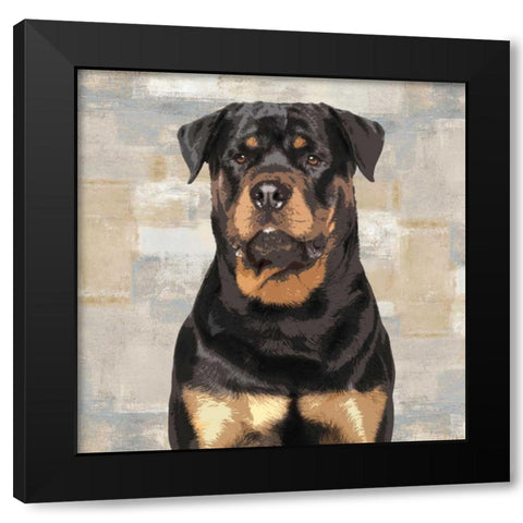 Rottweiler Black Modern Wood Framed Art Print with Double Matting by Rodgers, Keri
