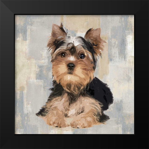 Yorkshire Terrier Black Modern Wood Framed Art Print by Rodgers, Keri