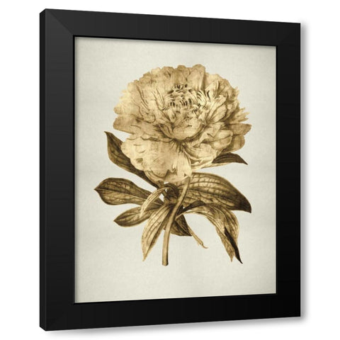 Gold Tulip II Black Modern Wood Framed Art Print with Double Matting by Bennett, Kate