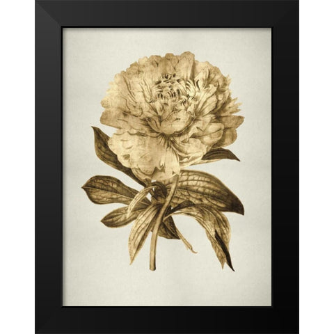 Gold Tulip II Black Modern Wood Framed Art Print by Bennett, Kate