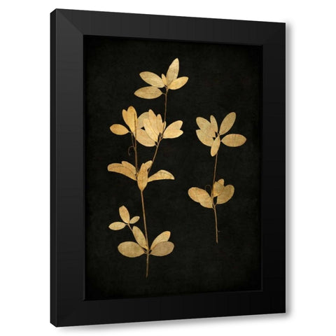 Golden Nature IV Black Modern Wood Framed Art Print with Double Matting by Bennett, Kate