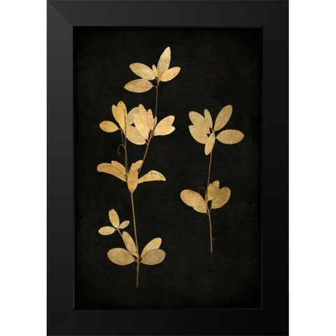 Golden Nature IV Black Modern Wood Framed Art Print by Bennett, Kate