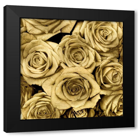 Gold Roses Black Modern Wood Framed Art Print with Double Matting by Bennett, Kate