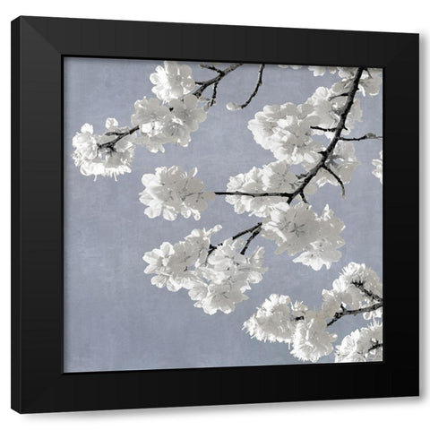 Blossoms on Blue II Black Modern Wood Framed Art Print by Bennett, Kate