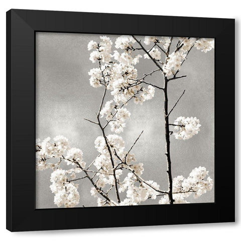 Silver Blossoms II Black Modern Wood Framed Art Print with Double Matting by Bennett, Kate