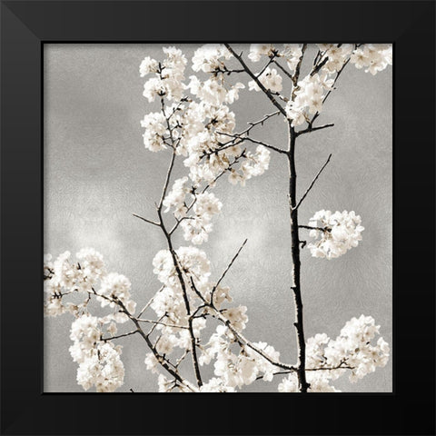 Silver Blossoms II Black Modern Wood Framed Art Print by Bennett, Kate