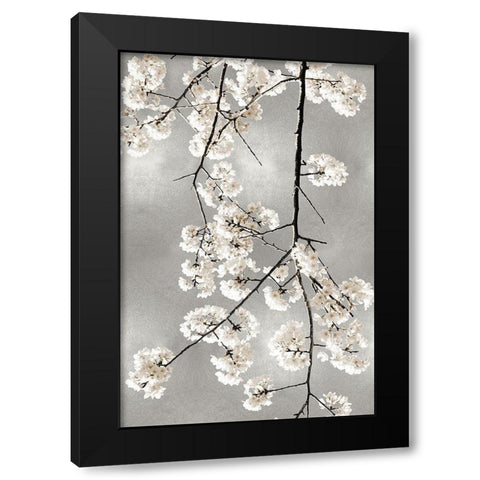 White Blossoms on Silver IV Black Modern Wood Framed Art Print by Bennett, Kate
