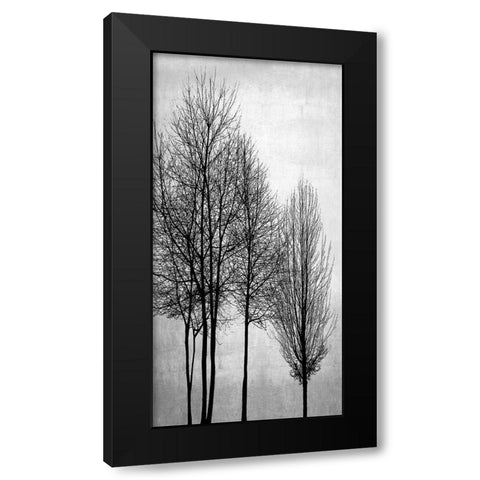 Trees on Silver Panel I Black Modern Wood Framed Art Print with Double Matting by Bennett, Kate