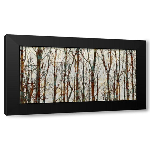 Into the Woods Black Modern Wood Framed Art Print by Webster, Kyle