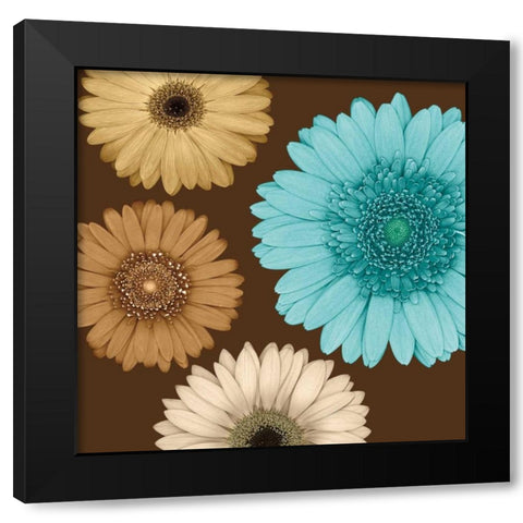 Daisy Quartet II Black Modern Wood Framed Art Print by Blake, Lindsay