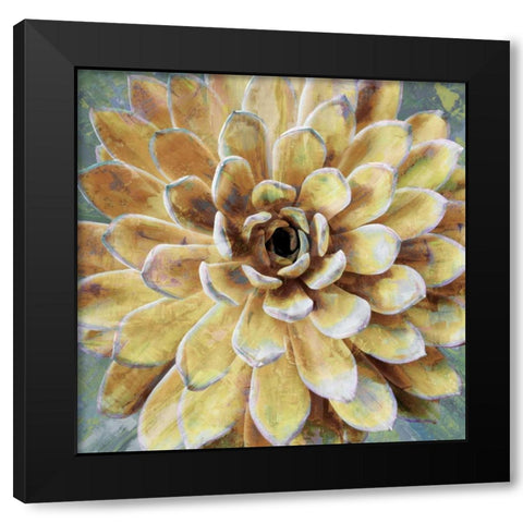 Succulent II Black Modern Wood Framed Art Print with Double Matting by Benson, Lindsay
