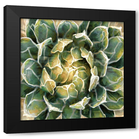 Succulent III Black Modern Wood Framed Art Print by Benson, Lindsay