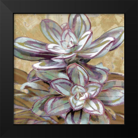 Succulent IV Black Modern Wood Framed Art Print by Benson, Lindsay