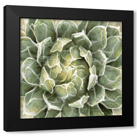 Succulent Verde III Black Modern Wood Framed Art Print with Double Matting by Benson, Lindsay