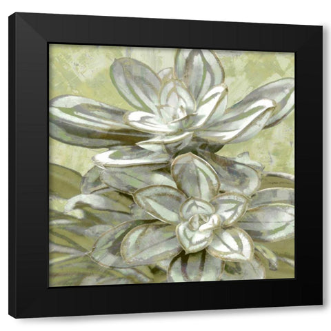 Succulent Verde IV Black Modern Wood Framed Art Print by Benson, Lindsay